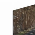 thumbnail image 2 of Luxe Metal Art 'Cypresses' by Alan Klug, Metal Wall Art, 24"x16", 2 of 8