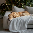 thumbnail image 4 of DecorX Throw Blanket Grey Flannel Fleece - Soft Fur Feel - Gray & White Contrast - 50x60 in, 4 of 13
