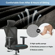 Sihoo M18 Mesh Ergonomic Office Chair with Adjustable Lumbar Support, High Back, Black