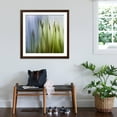 thumbnail image 3 of Art.com Moss Photographic Print by Ursula Abresch, Brown Frame Wall Art, 38" x 38", 3 of 5