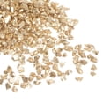thumbnail image 1 of Triturado Vidrio Chips 100g/3.5oz 2mm-4mm Irregular Metálico Brillante Vidrio para Artesanía Bricolaje Jarrón Relleno Epoxi Resina Decoración, Champagne, 1 of 5