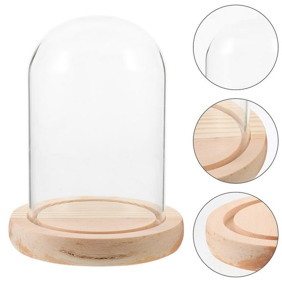 WHAMVOX Masteelf Transparent Glass Dome with Wooden Base for Eternal Flower Display Covering