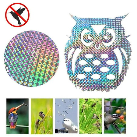 NETSENG 10pcs Garden Laser Hanging Fake Owl Scarecrow Owl Reflective ...