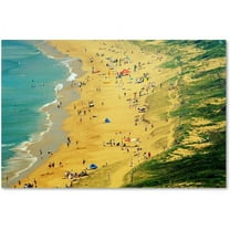 Trademark Fine Art Beata Czyzowska Young Life is a Beach Canvas Wall Art - 12x19