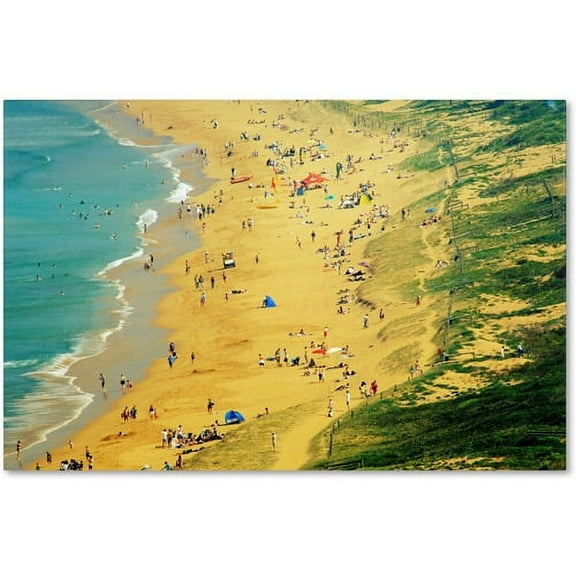 Trademark Fine Art Beata Czyzowska Young Life is a Beach Canvas Wall Art - 12x19