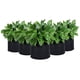 thumbnail image 5 of s de de tela negra piezas, bolsas de plantas transpirables, plantas inteligentes de 2 galones CUTICAT Contenedor de cultivo de patatas de tela, 5 of 8