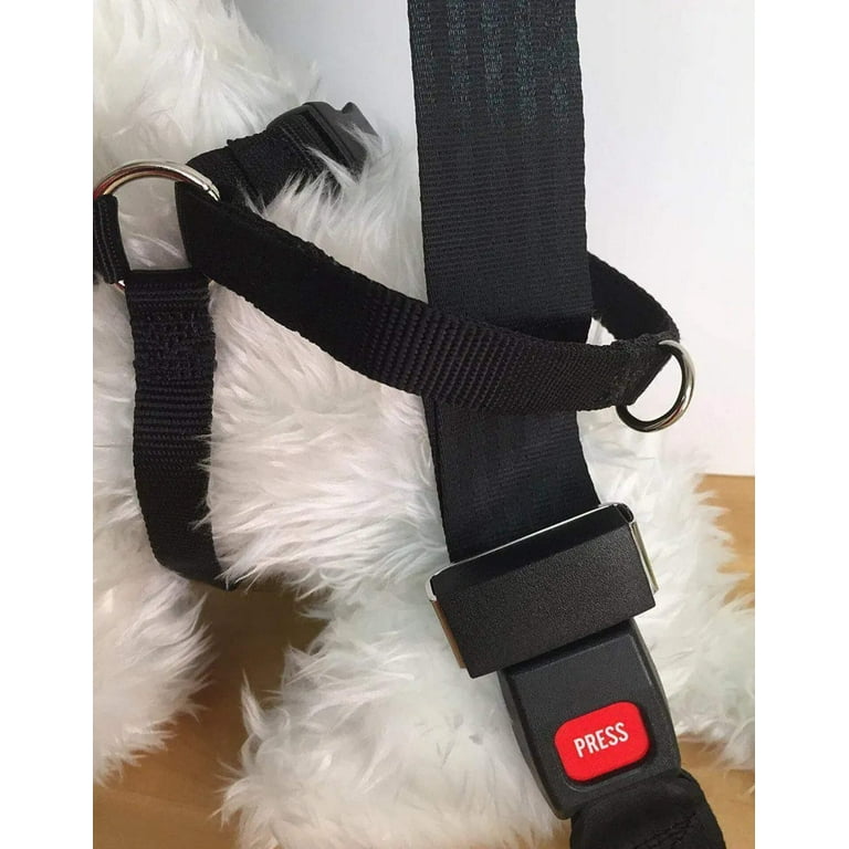 Easy rider sale dog seat belt