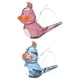 thumbnail image 2 of Silbato de agua de pájaro, juguete educativo para edades tempranas, novedad, juguete de llamada de pájaro para juego de baño, suministros para fiesta 2 piezas azul rosa mayimx Silbato de pájaros, 2 of 9