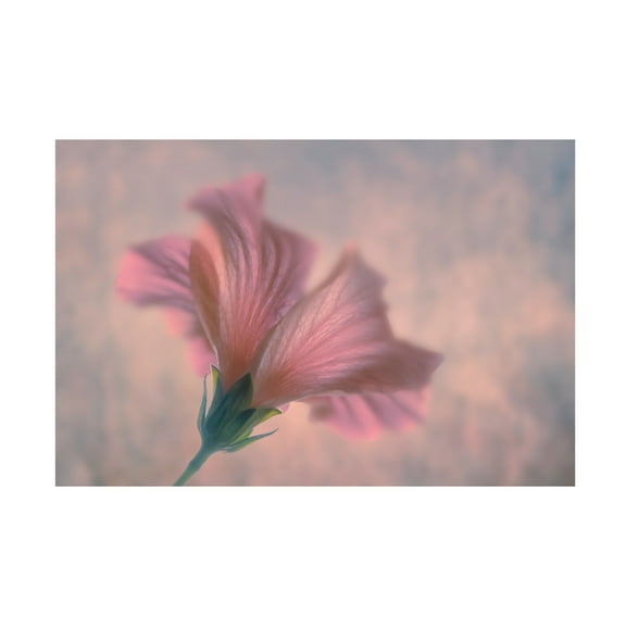 Trademark Fine Art Clear Water Dancing Canvas Wall Art