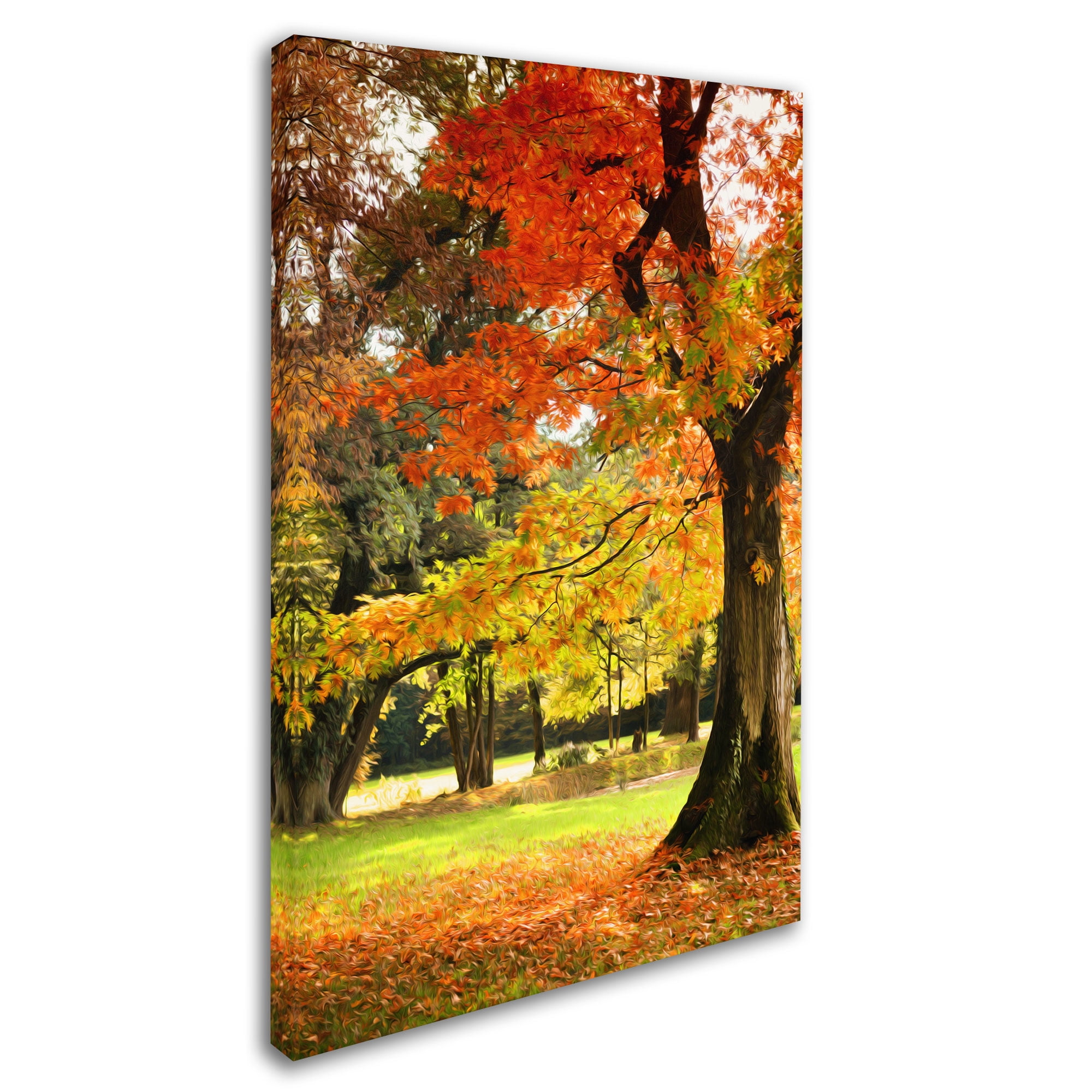 Trademark Fine Art "Dance of Colors" Canvas Art by Philippe Sainte-Laudy