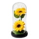 thumbnail image 3 of Regalos de girasol para mujer, girasoles iluminados en cúpula de cristal, lámpara de girasol LED, regalos románticos para ella en el día de la madre, cumpleaños, 3 of 5