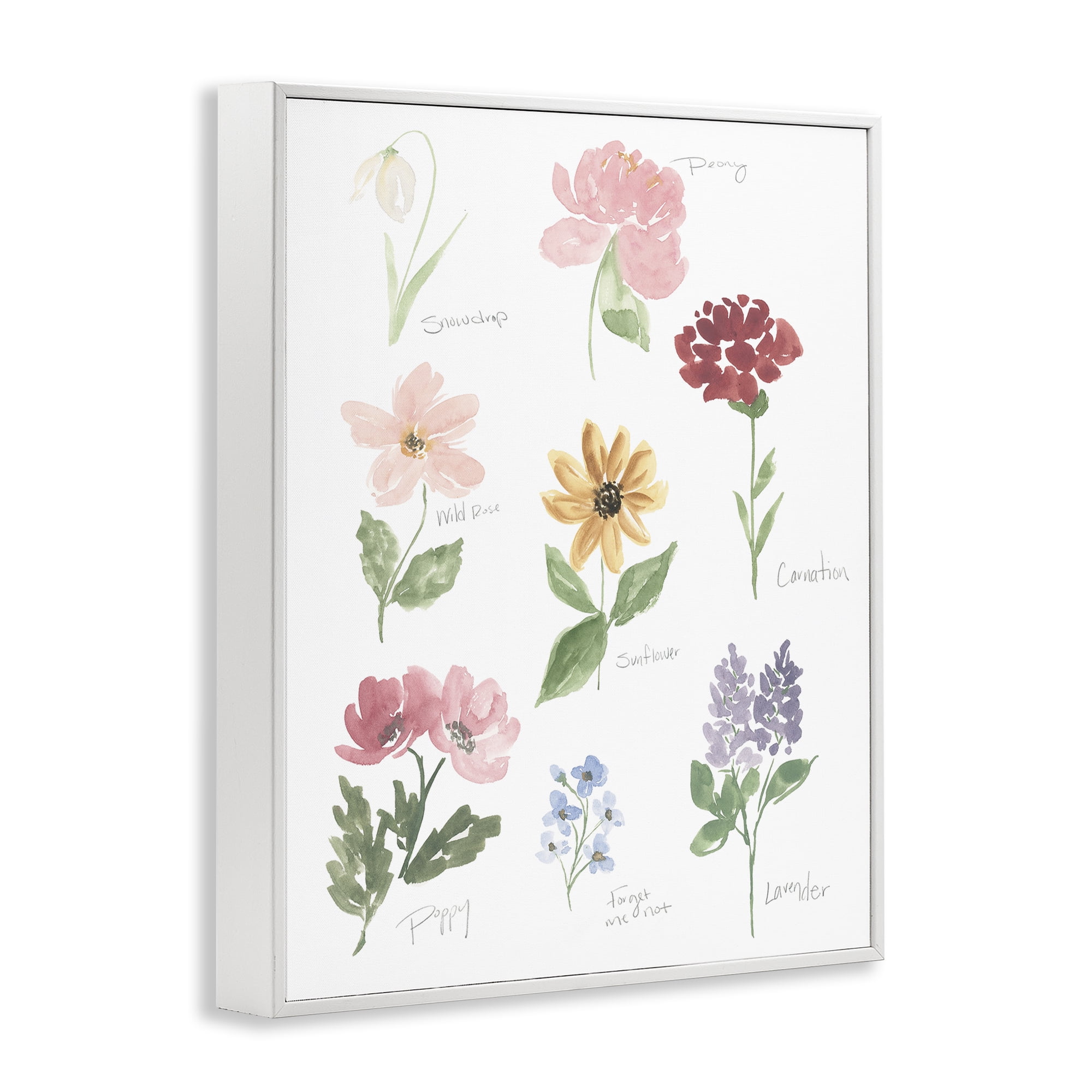 Stupell Industries Labeled Flower Varieties White Framed Giclee Art, design by Lucille Price