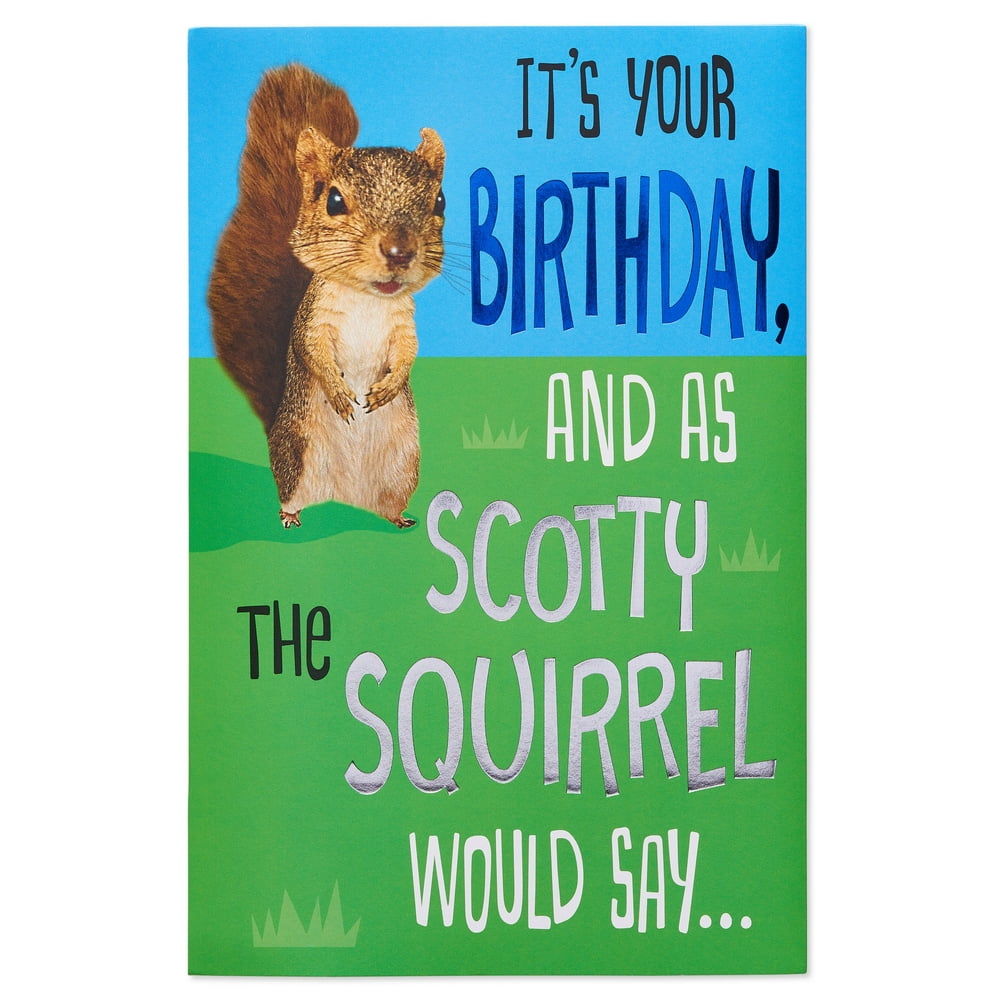 American Greetings Funny Squirrel Birthday Card with Foil - Walmart.com