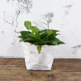 thumbnail image 2 of Contenedor de Papel Kraft Decorativo Blanco para Almacenamiento, Caja de Regalo de Juguete para Plantar, Material de Papel Kraft de Metal Ecológico 20x20x35cm Macarena Envase de la bolsa de la planta, 2 of 8