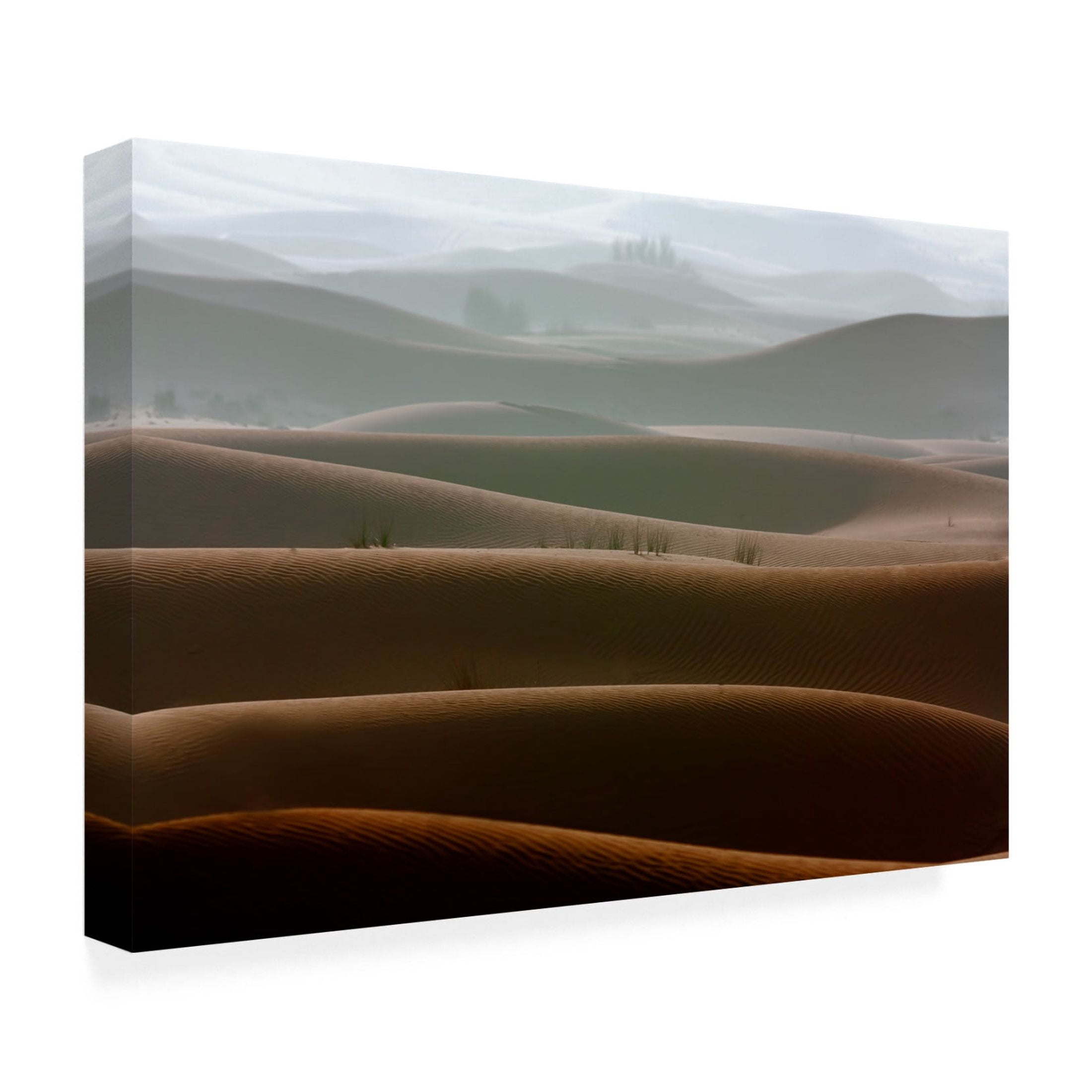 Canvas Wall Art - Naufal 'Foggy Morning' Wall Art for Living Room, Bedroom, or Office D?cor by Trademark Fine Art - 32 x 22 Inches