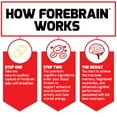thumbnail image 6 of Force Factor Forebrain, Nootropic Brain Supplement with Caffeine, Bacopa & Huperzine A for Memory, Focus, Mental Energy & Brain Health, 30 Capsules, 6 of 8