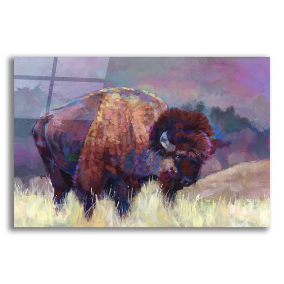 Epic Art 'Buffalo Roam' by Robert Jackson, Acrylic Glass Wall Art, 16"x12"