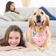 thumbnail image 4 of Feliz cumpleaños mascota cumpleaños bufanda triangular lavable mascota cumpleaños suave triángulo perro babero Rojo Verde Cocina, Decoración y Otros, 4 of 5