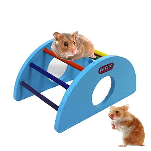 hamster rainbow bridge