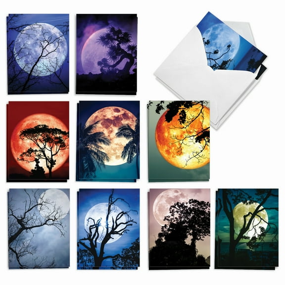20 All Occasion Blank Cards Assorted (10 Designs, 2 Each) - Moonshine All Occasion (4" x 5.12") AM7169OCB-B2x10