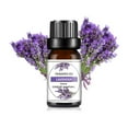 thumbnail image 1 of Recharge d'Huile Parfumée d'Aromathérapie pour Voiture 10 ml, Parfums Floraux et Fruités Longue Durée pour Hommes et Femmes, Options Multi-Parfums pour Diffusion en Voiture et à la Maison, 1 of 8