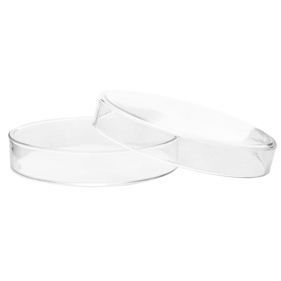 Petri Dish - 90 x 15mm - Soda Glass - Eisco Labs