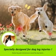 thumbnail image 2 of Dog Leg Brace Adjustable Dog Knee Brace Comfortable Dog Leg Hip Brace with Metal Support Bar Extra Support Knee Brace for Dog Hip Dysplasia Luxating Patella, 2 of 7