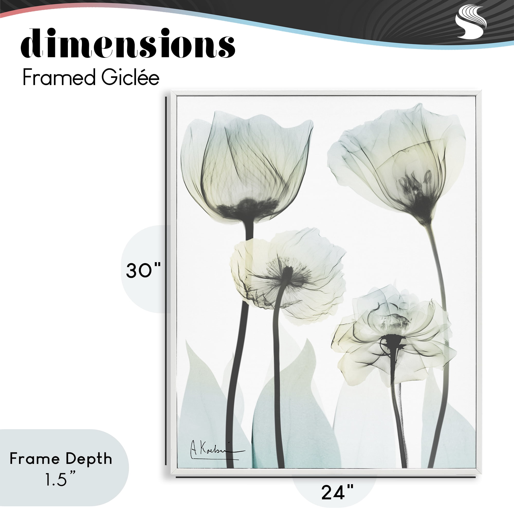 Stupell Industries Floral Luxury Of Creation White Framed Giclee Art, design by Albert Koetsier