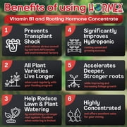 Hormex Vitamin B1 Rooting Hormone Concentrate – Root Stimulator and Root Hormone, 4oz