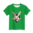 thumbnail image 4 of T-shirt à Manches Courtes pour Garçons, Col Rond, Décontracté, Graphique, pour Enfants, Haut en Mélange de Polyester, 1 Pce, 4 of 5