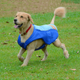 thumbnail image 5 of Chaleco de enfriamiento para perros, abrigo enfriador por evaporación para mascotas, material reflectante, correas ajustables,, 5 of 5