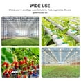 thumbnail image 4 of LED Grow Light for Indoor Plants Sunlike Full Spectrum Auto off 4/ 8/ 12H Timer, 4 of 8