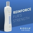 thumbnail image 6 of BioSilk Silk Therapy Moisturizing Dog Shampoo, Great for Dry, Itchy, or Sensitive Skin, 12 oz, 6 of 6