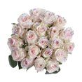 thumbnail image 2 of Painted Sugar Mom Confetti Roses - Farm Direct Fresh Cut Flowers - 50 Stems, 2 of 5