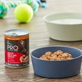 Pure Balance Pro Plus Turkey & Potato Recipe Wet Dog Food, 12.5 oz Can