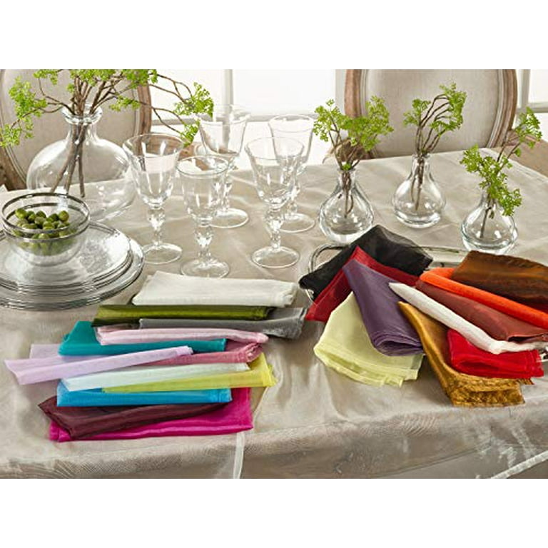 Fennco Styles Sorbet Collection Elegant Sheerness Organza 20 x 20 Inch  Cloth Napkins, Set of 12 - Silver Diner Napkins for Wedding, Banquets,  Special