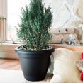 thumbnail image 2 of Bloem 10in Lucca Planter Black, 2 of 4