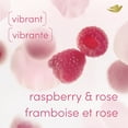 thumbnail image 4 of Dove Deodorant Spray Whole Body Raspberry & Rose Aluminum-Free, 113g, 4 of 7
