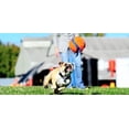 thumbnail image 4 of Pelota de Juguete Chuckit Kick Fetch Multicolor Pequeño para Perro, 4 of 9