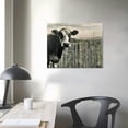 thumbnail image 4 of Orinice  Collection BW Country Cows on Wood Poster Print by JB Hyler  20x16in, 4 of 6