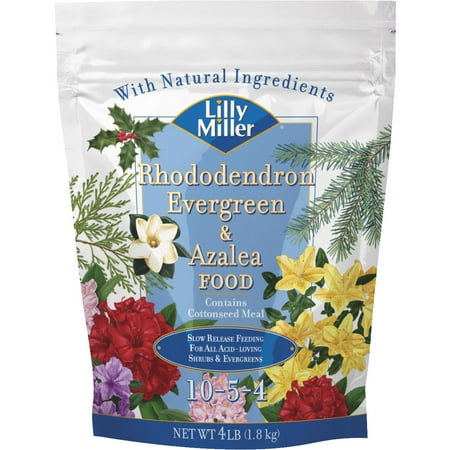 Lilly Miller Rhododendron Evergreen & Azalea Dry Plant (Best Plant Food For Evergreens)