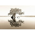 thumbnail image 2 of Nawrocke, Bruce 32x23 Black Ornate Wood Framed with Double Matting Museum Art Print Titled - Reflective View, 2 of 4