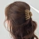 thumbnail image 5 of Xihbxyly Ofertas de iluminación Pinza grande para el pelo de resina plástica: para uso diario, fiestas y reuniones. Accesorio de moda ligero, cómodo y duradero con un patrón elegante., 5 of 6
