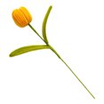 thumbnail image 1 of Flor de tulipán artificial preservada hecha a mano, terminada y hecha a mano, ideal como regalo para mujeres, amantes, aniversarios, día de la madre., 1 of 8