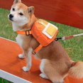 thumbnail image 5 of Dog Backpack Harness Dog Poop Bag Dispenser Pet Self Carrier Adjustable Travel, 5 of 5