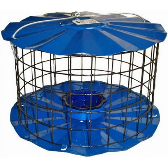 Bluebird Feeder - Includes Meal Worm Cup - Designed to Keep Squirrels Out - Made in The USA