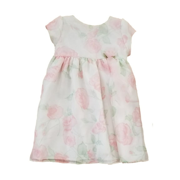 Infant Baby Girls White Pink Rose Green Holiday Fancy Party Easter Dress 12M