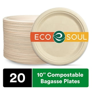 Repurpose Compostable 9 Bagasse Plates - 12 pack, 20 count each