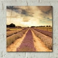 thumbnail image 4 of Epic Art 'Lavender Fields Forever' by Keri Bevan, Acrylic Glass Wall Art, 12"x12", 4 of 8