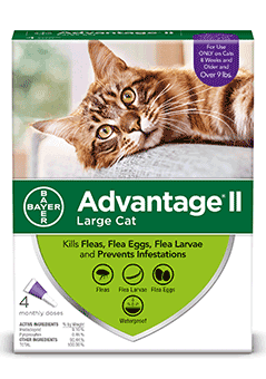 flea treatment for large cats